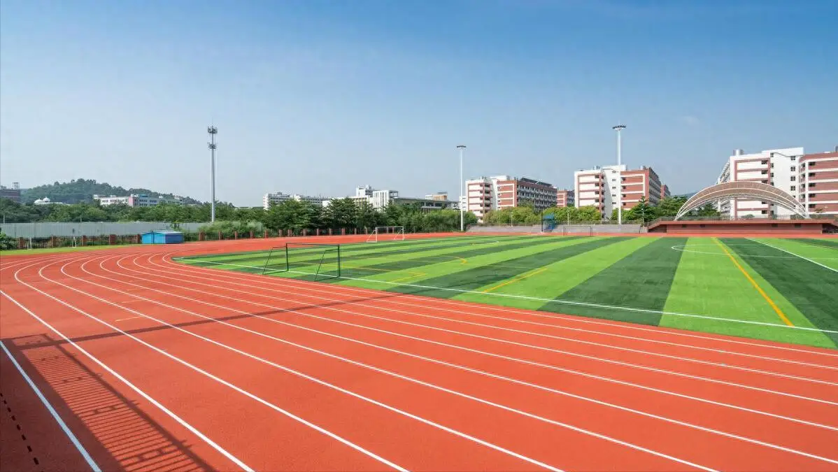 衡水市学校塑胶跑道塑胶跑道 - 厂家